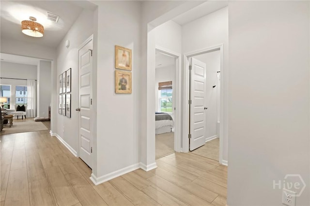 137 Binscombe Ln, Pooler, GA 31322 - corridor featuring plenty of natural light, light wood-style floors, and baseboards