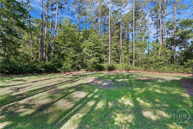 26 Lafayette Dr, Richmond Hill, GA 31324 - photo 39