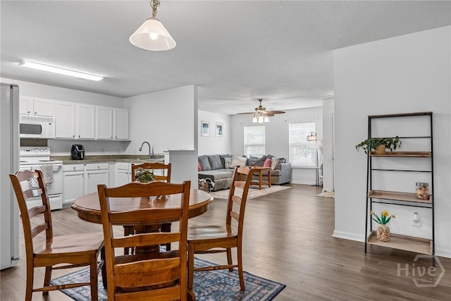 231 Tigers Paw Dr, Pooler, GA 31322 - dining room with wood finished floors, ceiling fan, and baseboards