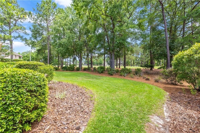 312 Spanton, Pooler, GA 31322 - view of grassy yard