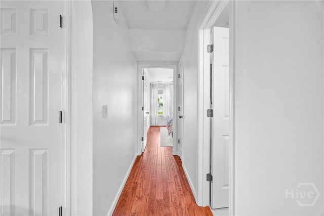 1 Westbourne Way, Savannah, GA 31407 - corridor with wood finished floors and baseboards