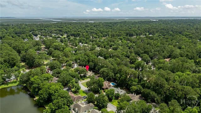 103 W Gazebo Ln, Savannah, GA 31410 - aerial view of a forest and a large body of water