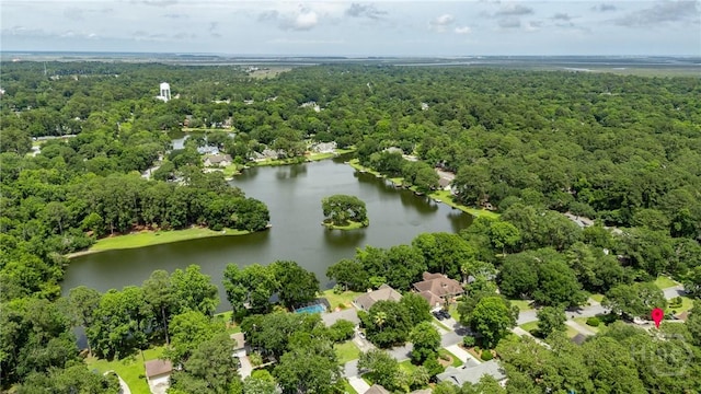 103 W Gazebo Ln, Savannah, GA 31410 - aerial view of a forest and a large body of water