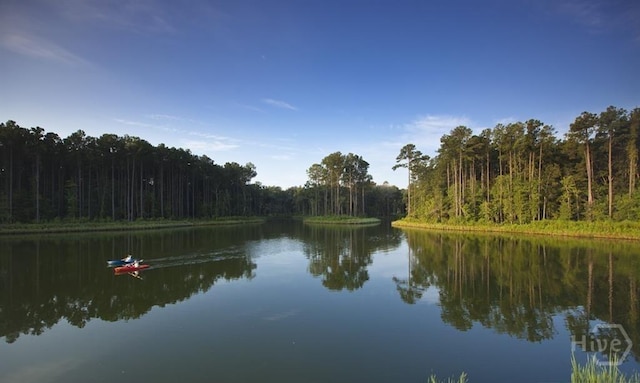 20 Lower Creek Dr, Richmond Hill, GA 31324 - water view featuring a heavily wooded area