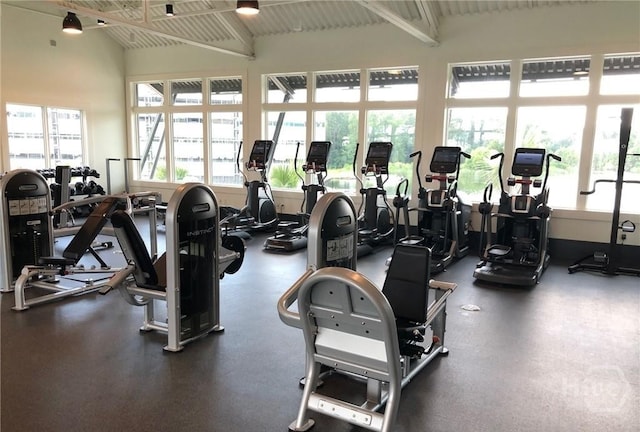 20 Lower Creek Dr, Richmond Hill, GA 31324 - exercise room with plenty of natural light and vaulted ceiling
