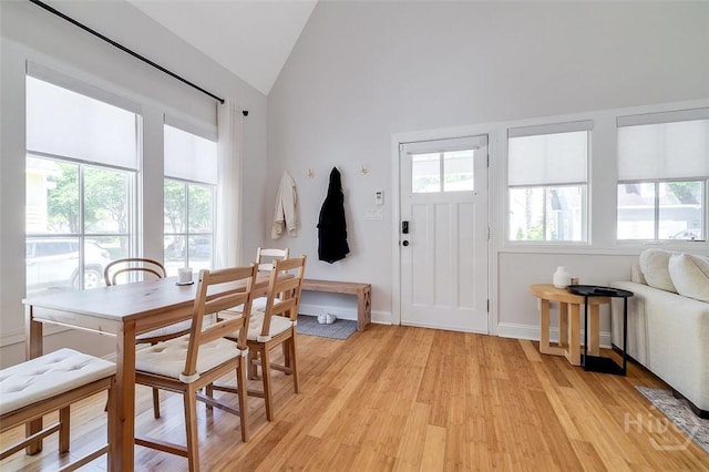 115 Daisy Ct, Savannah, GA 31404 - foyer with lofted ceiling, plenty of natural light, light wood-style flooring, and baseboards