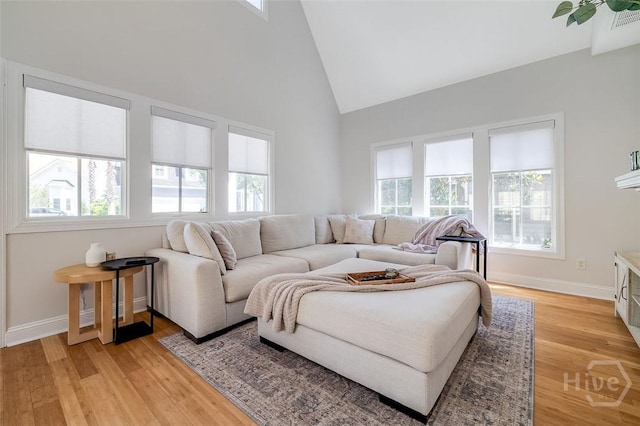 115 Daisy Ct, Savannah, GA 31404 - living area with light wood-type flooring, high vaulted ceiling, and baseboards