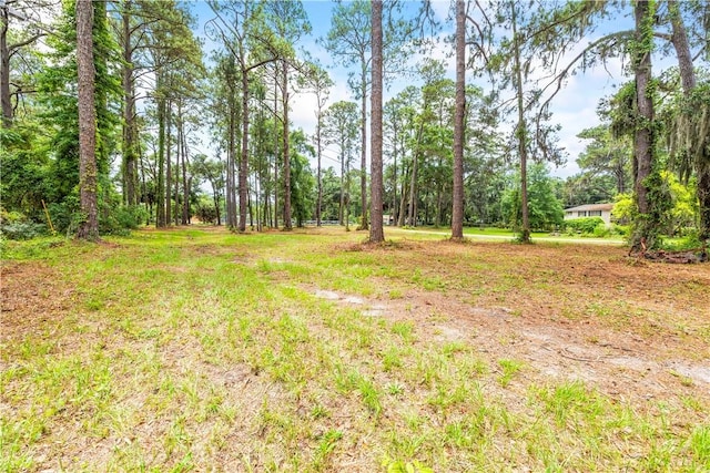206 Wilmington Island Rd, Savannah, GA 31410 - photo 14