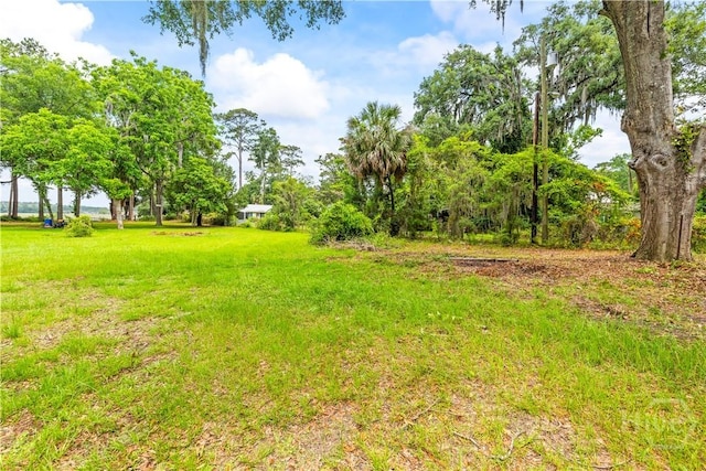 206 Wilmington Island Rd, Savannah, GA 31410 - photo 15