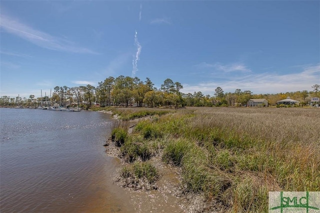 1056 Fiddler Trce, Townsend, GA 31331 - water view