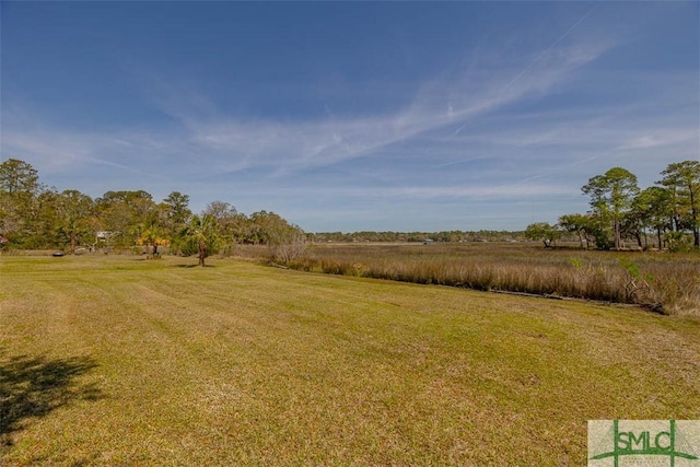 1056 Fiddler Trce, Townsend, GA 31331 - view of green lawn featuring a view of rural / pastoral area