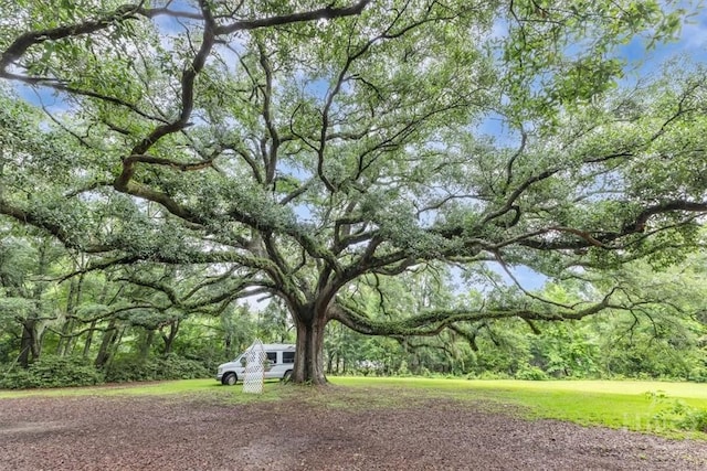 342 Chevis Rd, Savannah, GA 31419 - photo 7