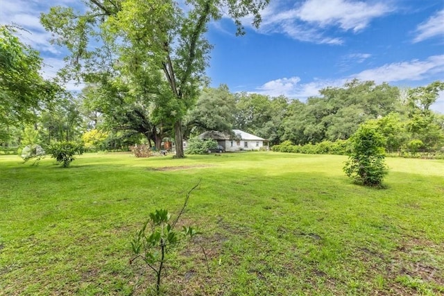 342 Chevis Rd, Savannah, GA 31419 - photo 26
