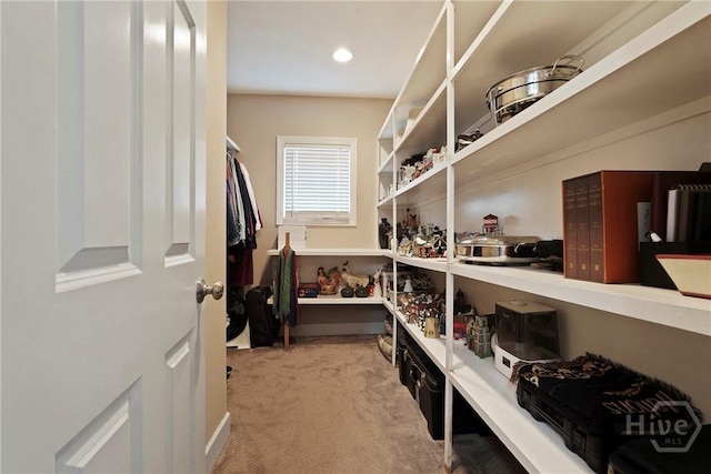 8813 Whitefield Ave, Savannah, GA 31406 - view of storage area