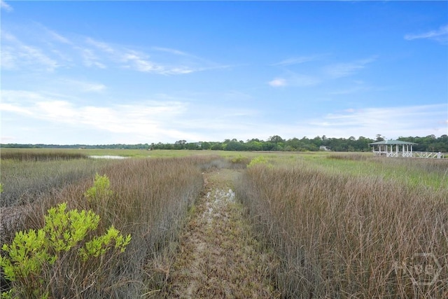 8813 Whitefield Ave, Savannah, GA 31406 - view of nature featuring rural landscape