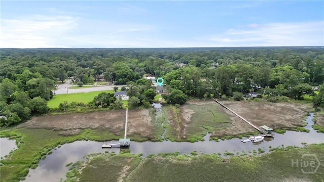 8813 Whitefield Ave, Savannah, GA 31406 - aerial view of property's location with a large body of water and a forest