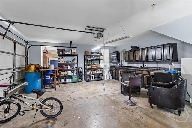 67 Oak Side Ct, Richmond Hill, GA 31324 - garage with a garage door opener