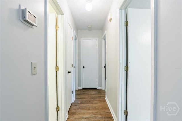 15 Ramble Rd, Statesboro, GA 30458 - corridor with wood finished floors and baseboards