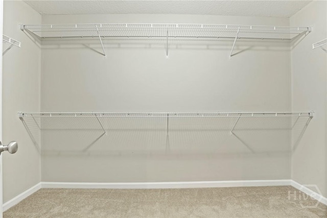 93 Veranda Trl, Midway, GA 31320 - spacious closet featuring carpet floors
