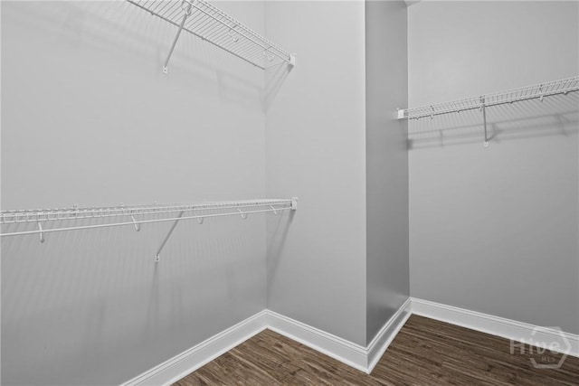 7 Sailmaker Ln, Richmond Hill, GA 31324 - walk in closet featuring wood finished floors