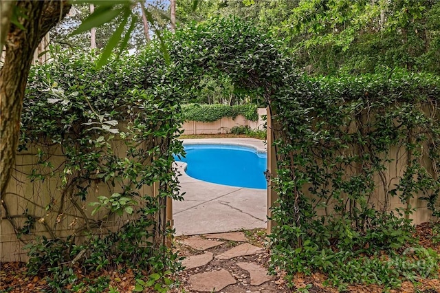 10 Cedar View Dr, Savannah, GA 31410 - view of swimming pool with a fenced backyard