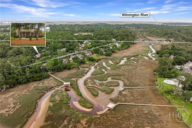10 Cedar View Dr, Savannah, GA 31410 - aerial view of property's location with property boundaries highlighted and a forest
