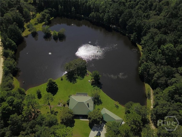 30 Fields Park Rd, Statesboro, GA 30461 - aerial view of a large body of water and a heavily wooded area