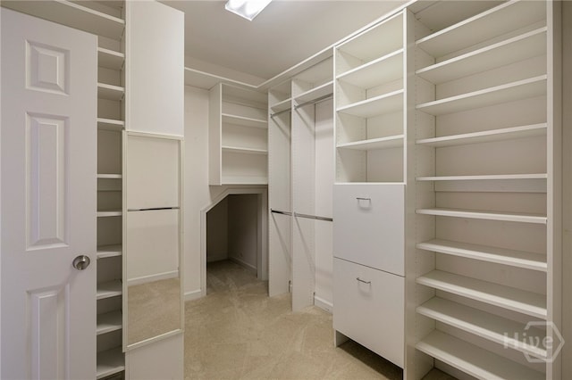 35 Wild Thistle Ln, Savannah, GA 31406 - walk in closet with light colored carpet