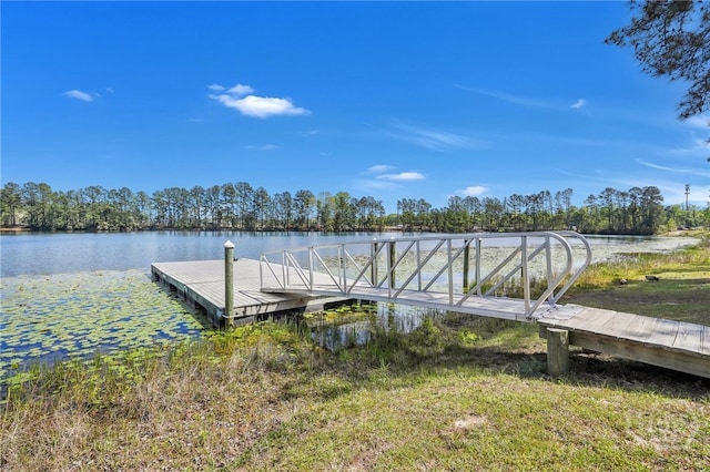 111 Moonlight Trl, Port Wentworth, GA 31407 - photo 34