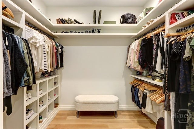 217 John Wesley Way, Savannah, GA 31404 - spacious closet with light wood finished floors