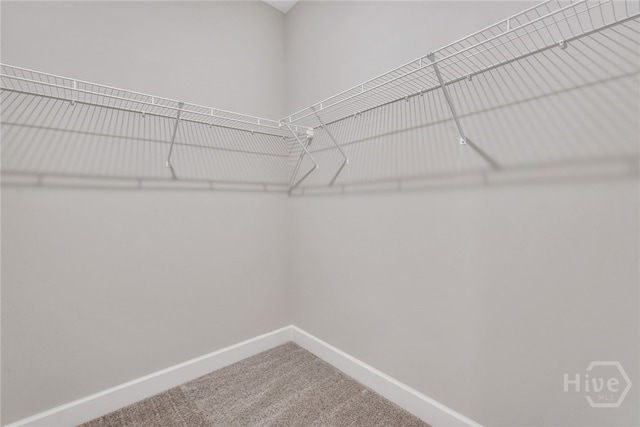 238 Haisley Run, Guyton, GA 31312 - spacious closet featuring carpet floors