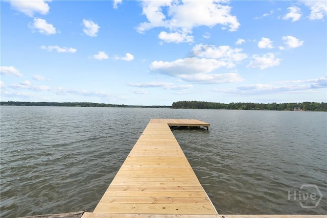 745 S Chickasaw Trl, Sparta, GA 31087 - dock featuring a water view