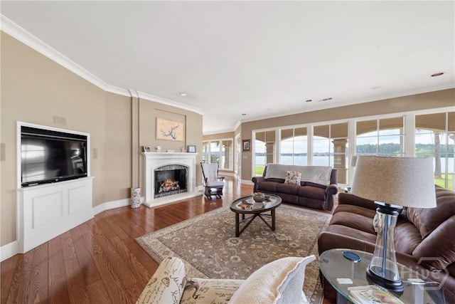 745 S Chickasaw Trl, Sparta, GA 31087 - living room with ornamental molding, baseboards, wood finished floors, and a warm lit fireplace