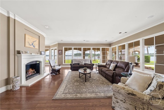 745 S Chickasaw Trl, Sparta, GA 31087 - living area featuring crown molding, baseboards, dark wood-style floors, a lit fireplace, and recessed lighting