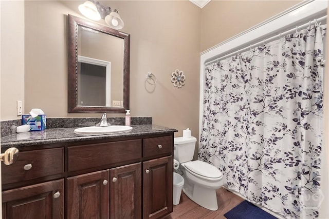745 S Chickasaw Trl, Sparta, GA 31087 - bathroom featuring toilet, vanity, wood finished floors, and curtained shower