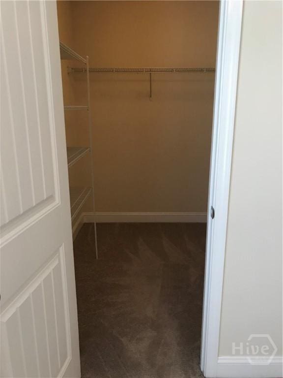 60 Kepler Loop, Richmond Hill, GA 31324 - spacious closet with dark carpet