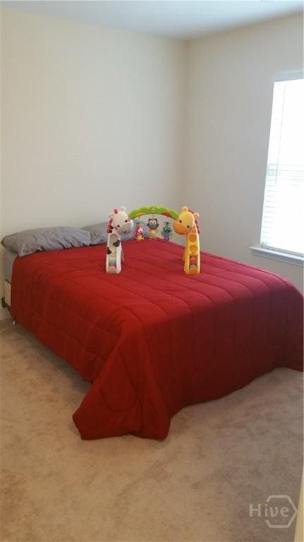 60 Kepler Loop, Richmond Hill, GA 31324 - bedroom with light carpet