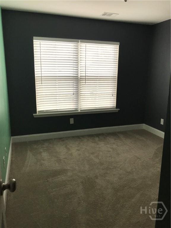 60 Kepler Loop, Richmond Hill, GA 31324 - unfurnished room with carpet floors and baseboards