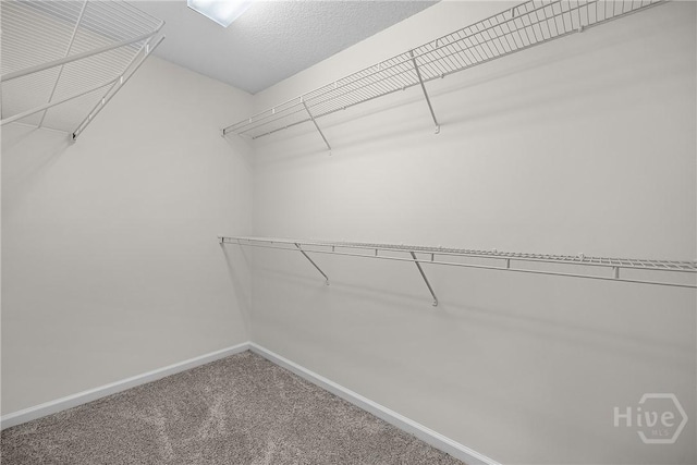 172 Jamestown Dr, Rincon, GA 31326 - spacious closet with carpet floors