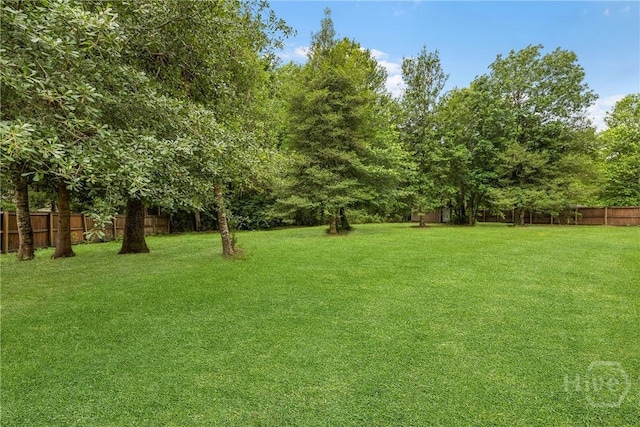 172 Jamestown Dr, Rincon, GA 31326 - view of yard