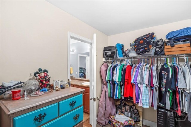 135 Verde Bnd, Savannah, GA 31419 - view of spacious closet