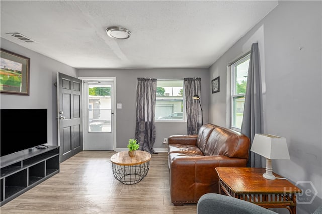 1515 Vine St, Savannah, GA 31401 - living room featuring wood finished floors, a textured ceiling, and baseboards