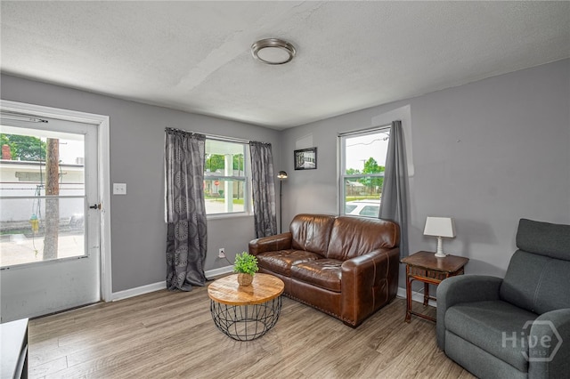 1515 Vine St, Savannah, GA 31401 - living room with light wood finished floors, plenty of natural light, baseboards, and a textured ceiling