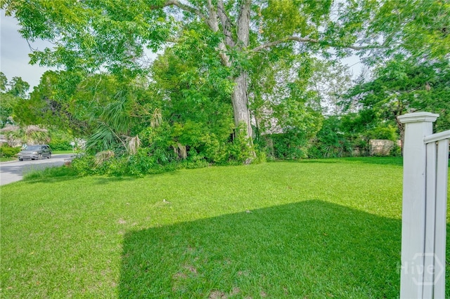 1515 Vine St, Savannah, GA 31401 - view of green lawn