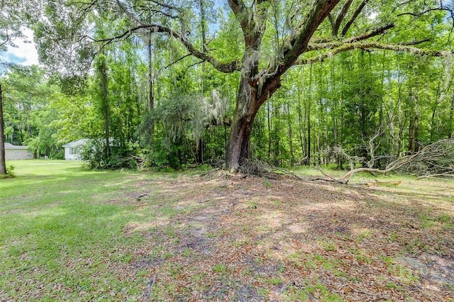 907 Magnolia Ext, Guyton, GA 31312 - photo 22