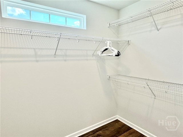 128 Melody Dr, Pooler, GA 31322 - walk in closet with dark wood finished floors
