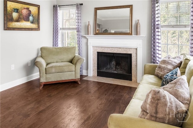 12300 Apache Ave Unit 507, Savannah, GA 31419 - living room featuring dark wood-style floors, baseboards, a premium fireplace, and crown molding