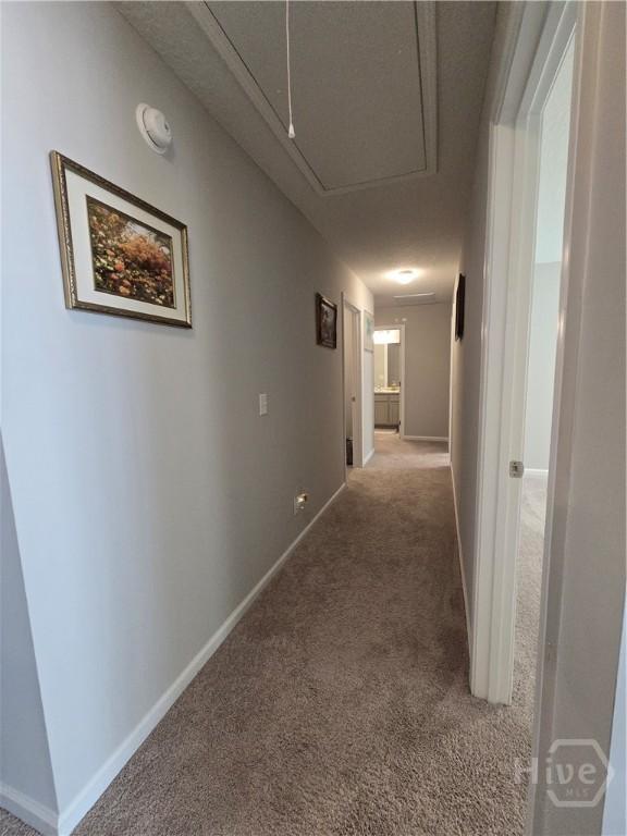 269 Brightleaf Cir, Hinesville, GA 31313 - hall with attic access, carpet, and baseboards