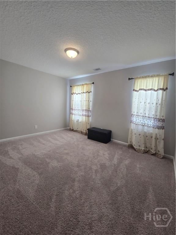 269 Brightleaf Cir, Hinesville, GA 31313 - empty room featuring plenty of natural light, a textured ceiling, carpet, and baseboards