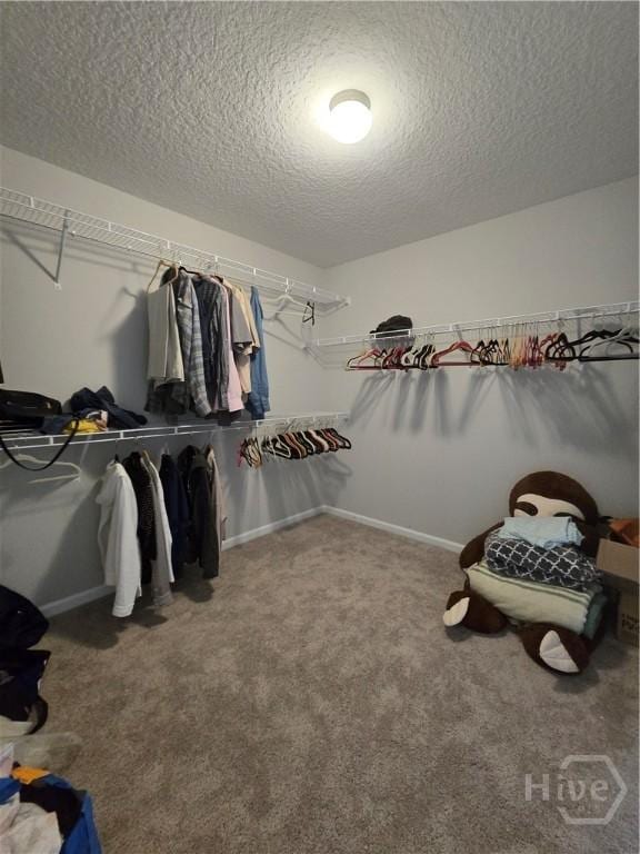 269 Brightleaf Cir, Hinesville, GA 31313 - walk in closet featuring carpet